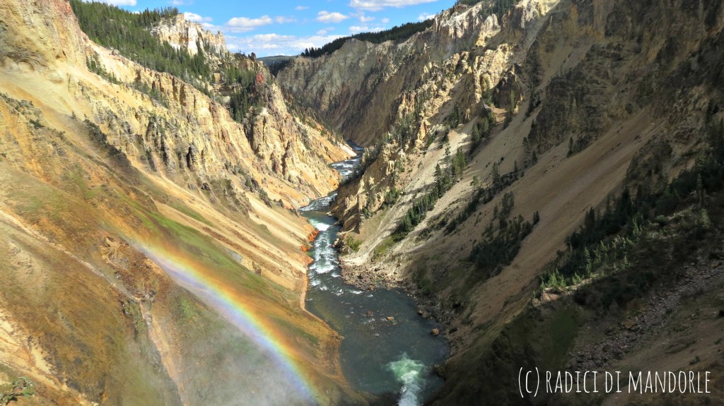 Yellowstone National Park: La mia esperienza lavorativa