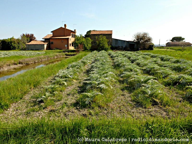 La Sagra di Sant’Erasmo a Venezia – Cronaca (semi seria)